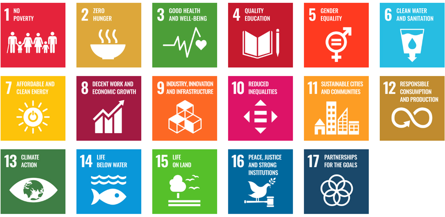 United Nations Sustainability Goals